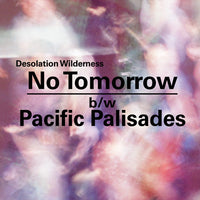 Desolation Wilderness - No Tomorrow 7"