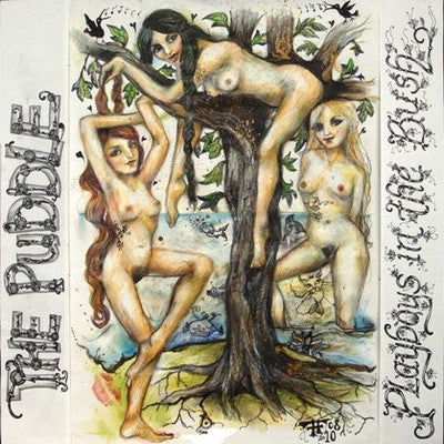 Puddle - Playboys In The Bush cd/lp
