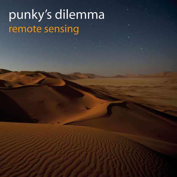 Punky's Dilemma - Remote Sensing cd