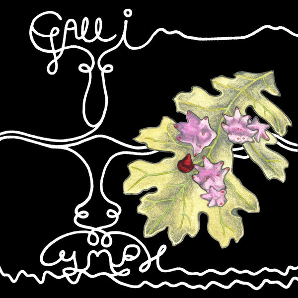 Archival Image - Gall I cs