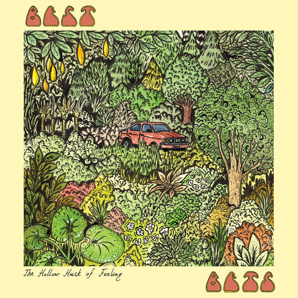 Best Bets - The Hollow Husk Of Feelings lp