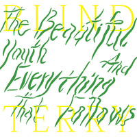 Blind Terry - The Beautiful Youth And Everything That Follows 10"