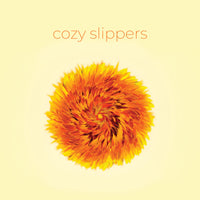 Cozy Slippers - Cozy Slippers lp