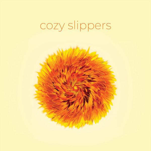 Cozy Slippers - Cozy Slippers lp