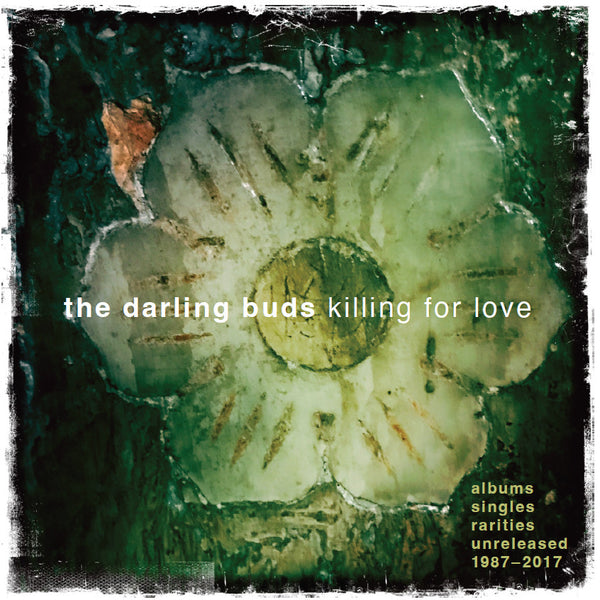 Darling Buds - Killing For Love: 1987-2017 cd box