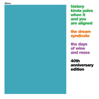 Dream Syndicate - The Days Of Wine And Roses (40th Anniversary edition) cd box