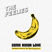 Feelies - Some Kinda Love: Performing The Music Of The Velvet Underground cd/dbl lp