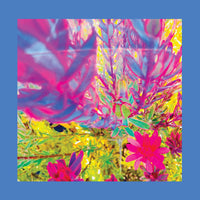Reds, Pinks & Purples - The Past Is A Garden I Never Fed cd/lp