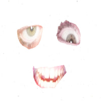 Who Brought Opie - Friends Between Revolutions cd/cs