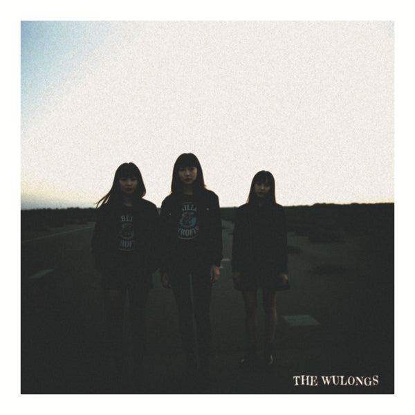 Wulongs - Videodrome cd/lp