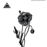 Ancient Shapes - A Flower That Wouldn’t Bloom lp