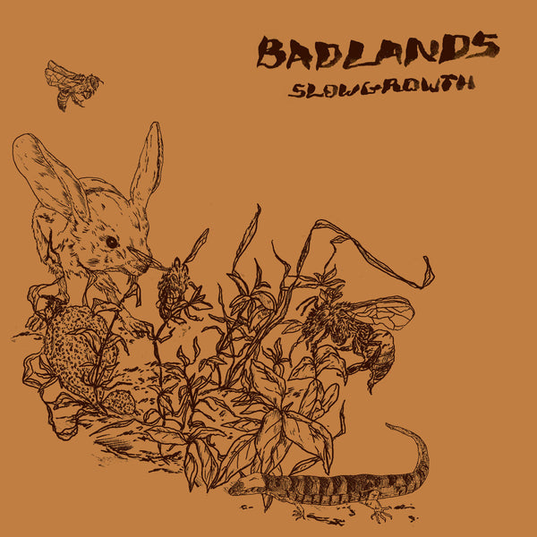 Badlands - Slow Growth cd