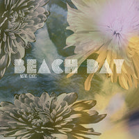 Beach Day - Native Echoes cd