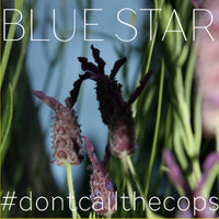 Blue Star - Don't Call The Cops cd