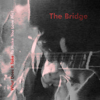Bridge - What Does It Take To Make You Love Me? cd/lp