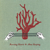 Burning Hearts - Aboa Sleeping cd
