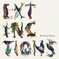 Burning Hearts - Extinctions cd