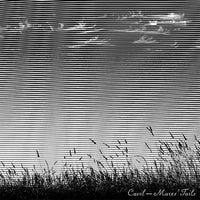 Cavil - Mares' Tails cd/lp
