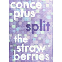 Conceptus / Strawberries - split cs