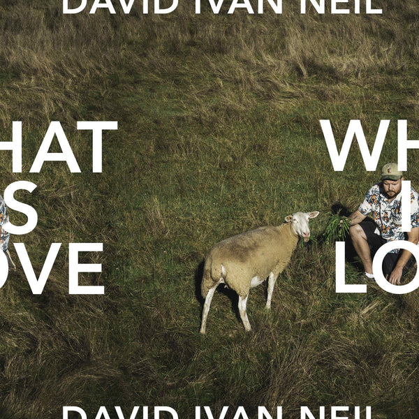 Neil, David Ivan - What Is Love lp