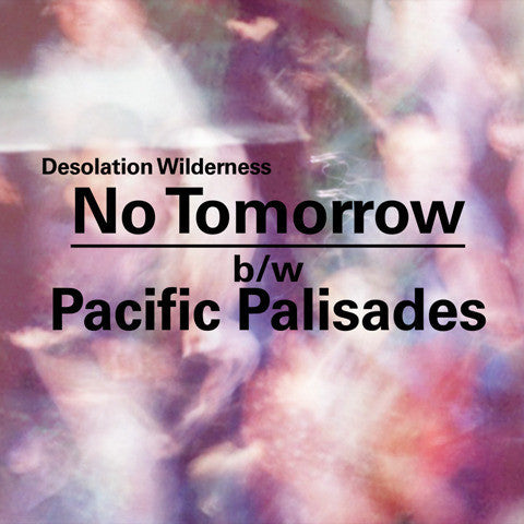 Desolation Wilderness - No Tomorrow 7"