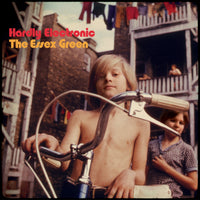Essex Green - Hardly Electronic lp
