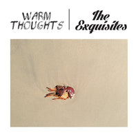 Exquisites / Warm Thoughts - split 7"