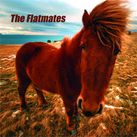 Flatmates - Flatmates lp