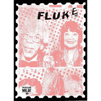 Fluke - Issue #19 zine