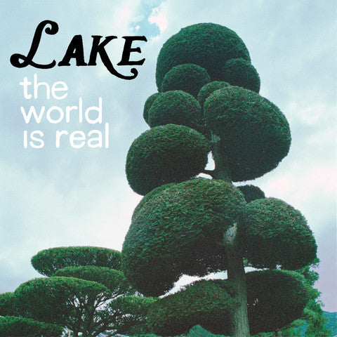 Lake - The World Is Real cd/lp