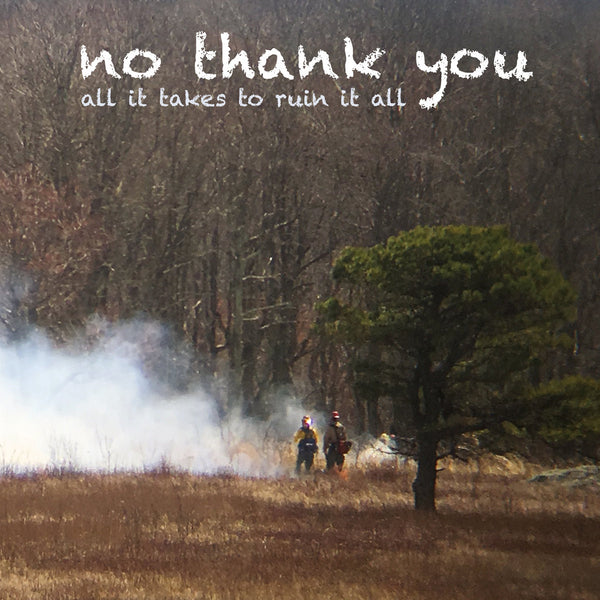 No Thank You - All It Takes To Ruin It All lp