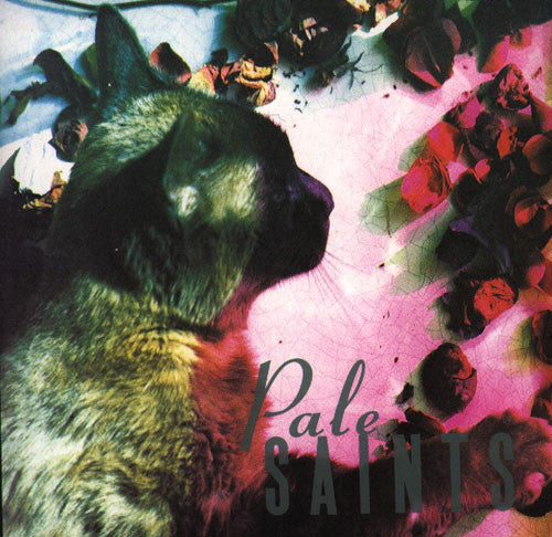 Pale Saints - The Comforts Of Madness: 30th Anniversary dbl cd/dbl lp