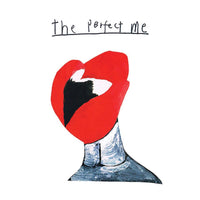 Perfect Me - Into The House cd