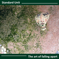 Standard Unit - The Art Of Falling Apart cd