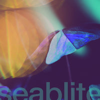 Seablite - Breadcrumbs 7"