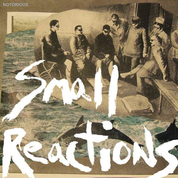 Small Reactions - Notorious cs