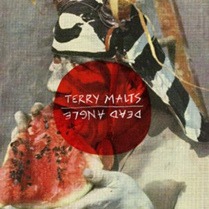 Terry Malts / Dead Angle - split 7"