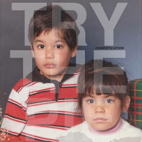 Try The Pie - Domestication lp