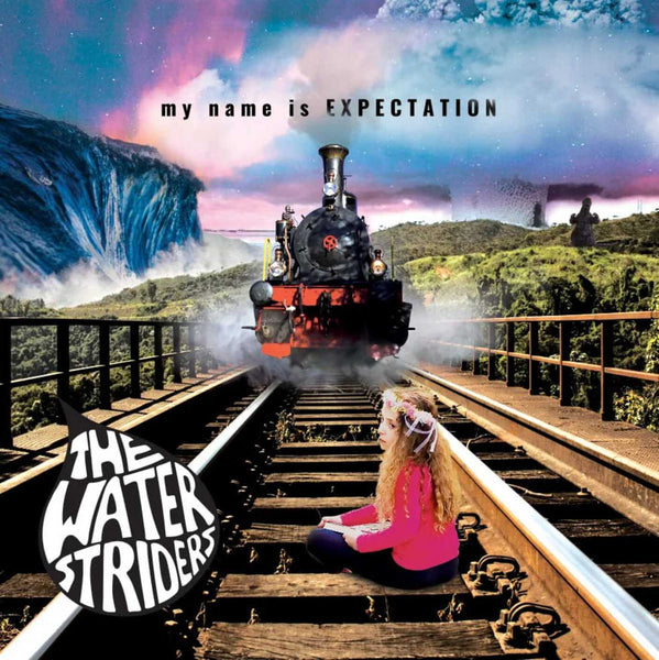 WaterStriders - My Name Is Expectation lp