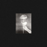 White Flowers - Day By Day lp