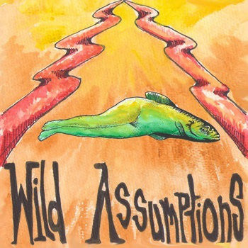 Wild Assumptions - Run Like You 7"